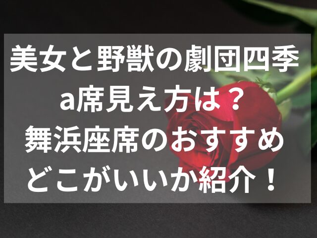 美女と野獣の劇団四季a席見え方は？舞浜座席のおすすめどこがいいか紹介！