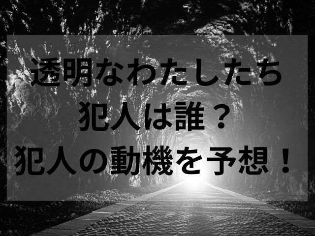 透明なわたしたち犯人は誰？犯人の動機を予想！