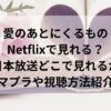 愛のあとにくるものNetflixで見れる？日本放送どこで見れるかアマプラや視聴方法紹介！