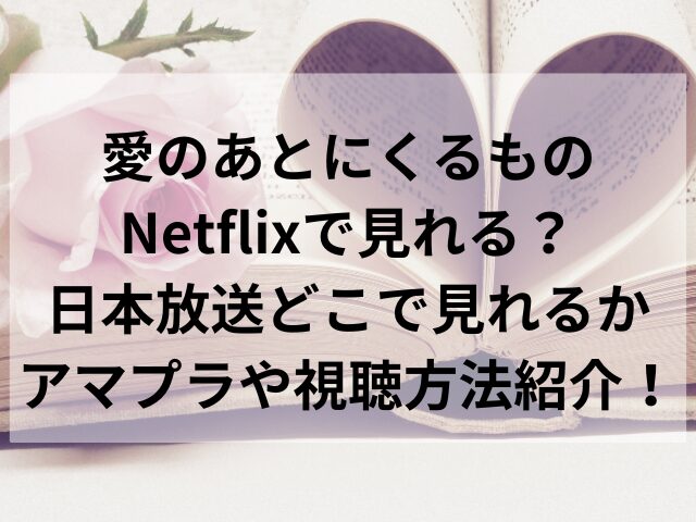 愛のあとにくるものNetflixで見れる？日本放送どこで見れるかアマプラや視聴方法紹介！