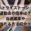 トライストーン運動会の倍率は？当選確率や当たる方法紹介！