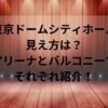 東京ドームシティホール見え方は？アリーナとバルコニーでそれぞれ紹介！