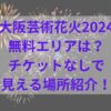 大阪芸術花火2024無料エリアは？チケットなしで見える場所紹介！