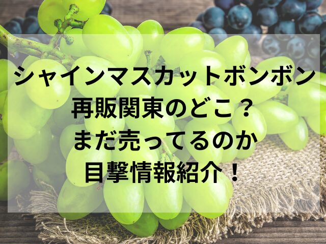 シャインマスカットボンボン再販関東のどこ？まだ売ってるのか目撃情報紹介！