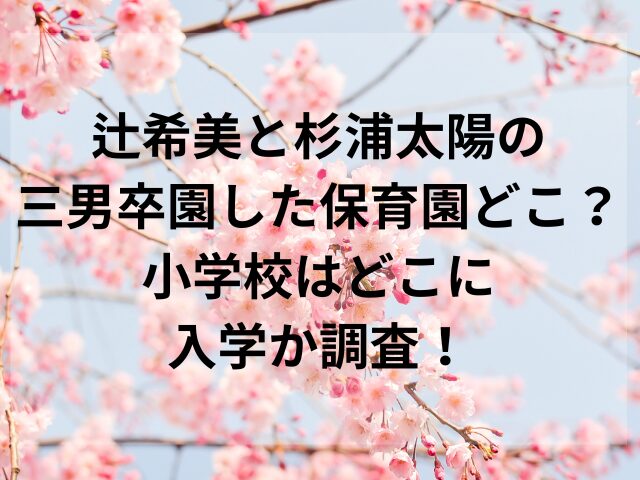 辻希美と杉浦太陽の三男卒園した保育園どこ？小学校はどこに入学か調査！